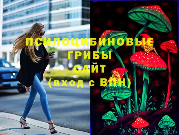 кокаин Белокуриха
