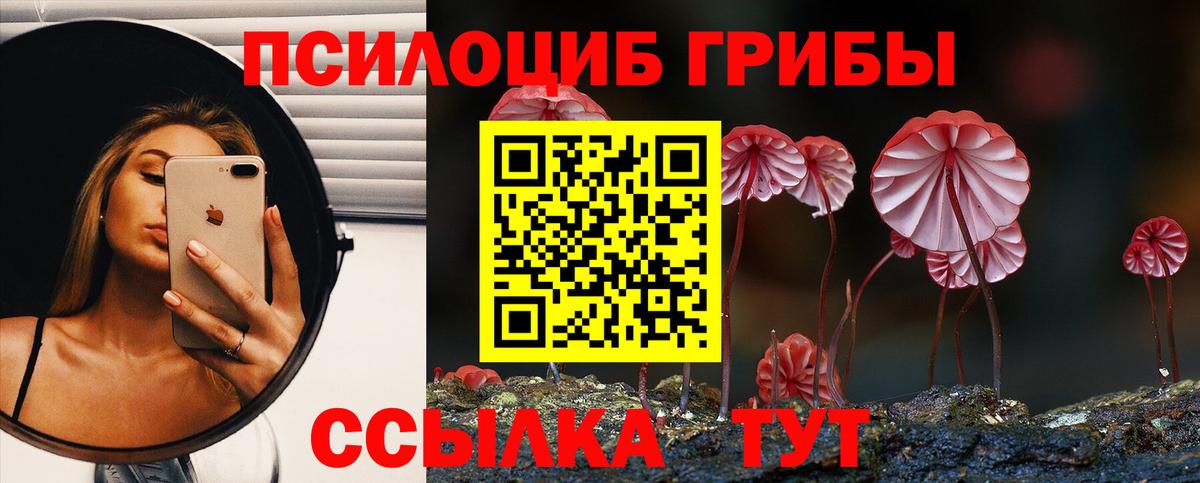 Вязьма  Псилоцибиновые грибы прущие грибы  Вход с VPN  Галлюциногенные грибы MAGIC MUSHROOMS 